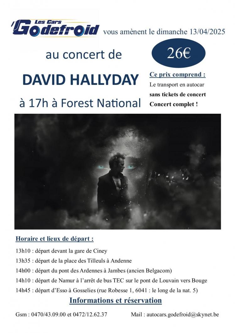 David hallyday concert 13 avril 2025 1