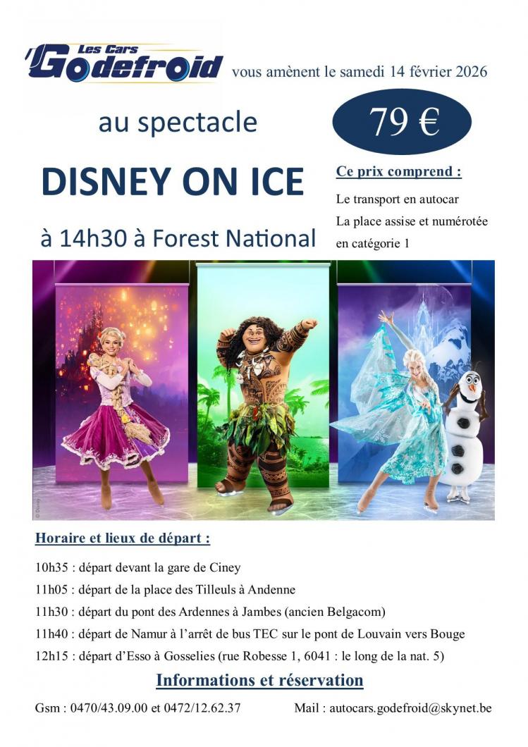 Disney on ice spectacle 14 fev 2026