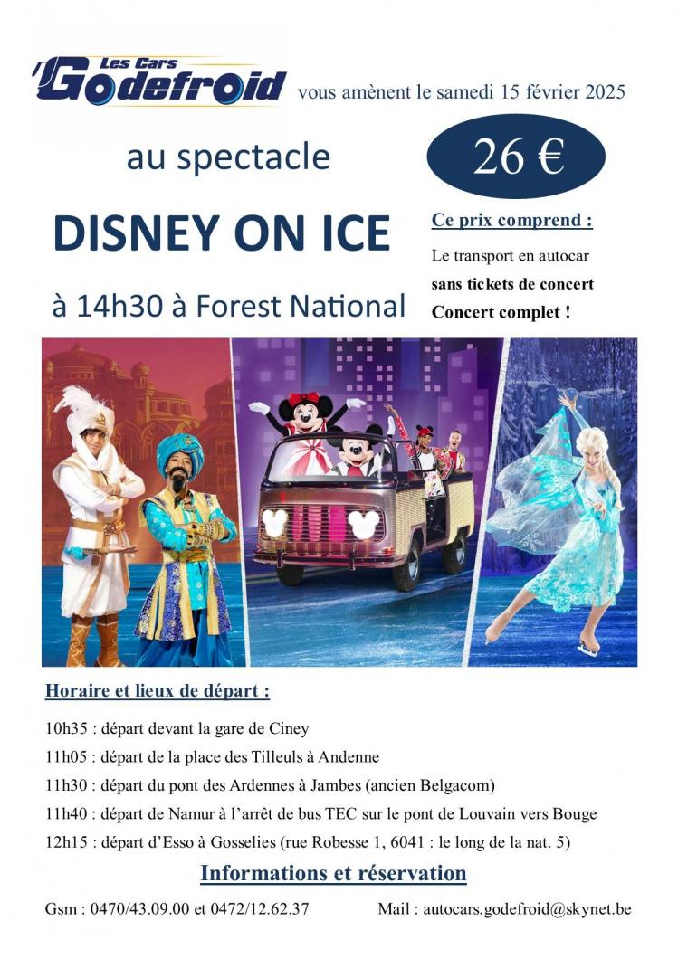 Disney on ice spectacle 15 fev 2025 1